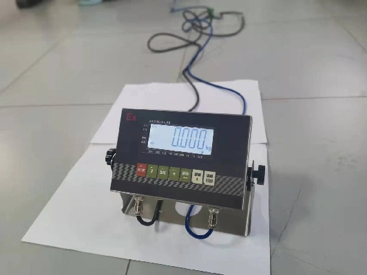 Explosion Proof Truck Scale 3 3 1 2