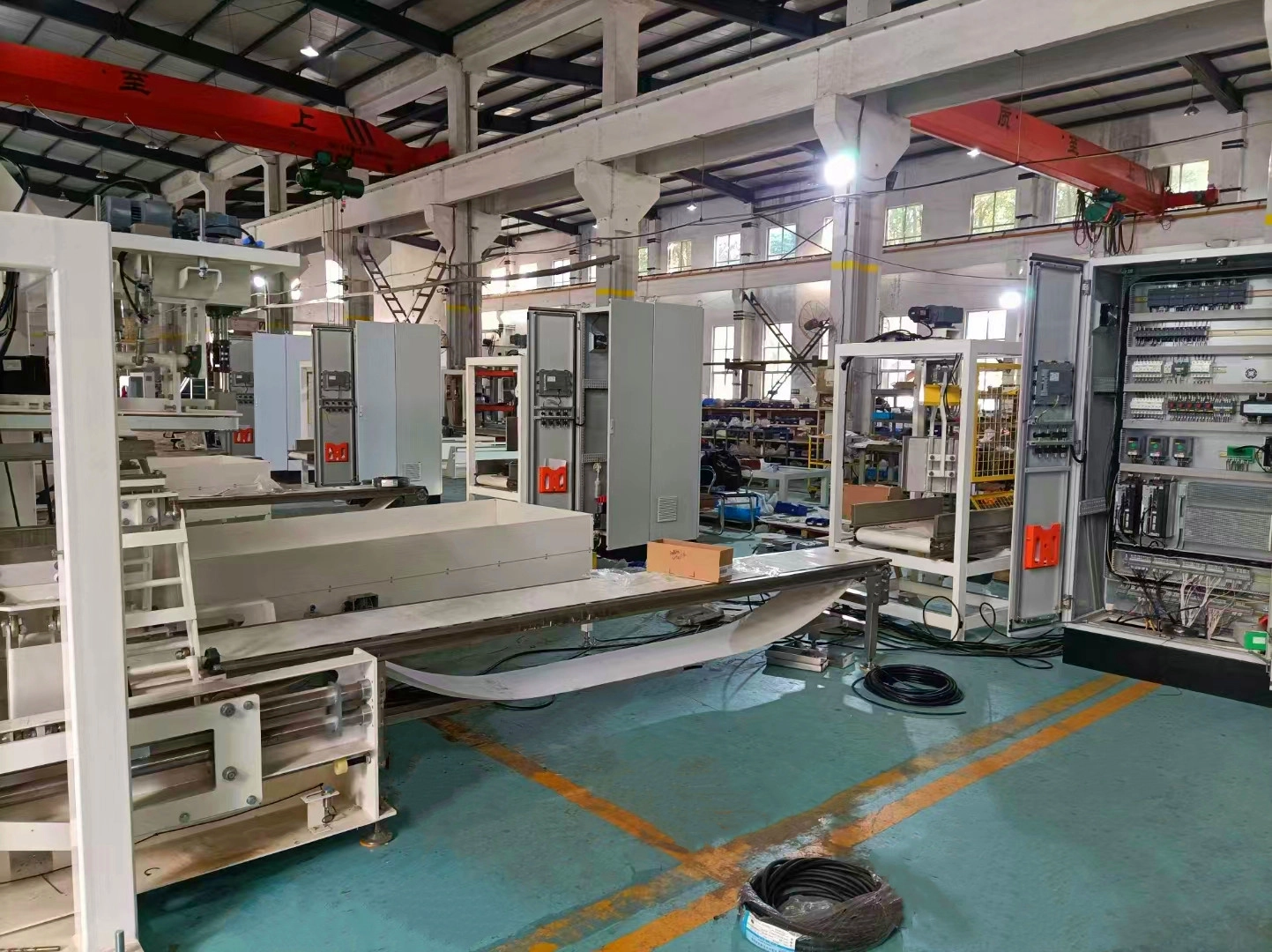 Checkweigher 13 Checkweigher8