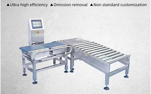 Checkweigher 18 Checkweigher9