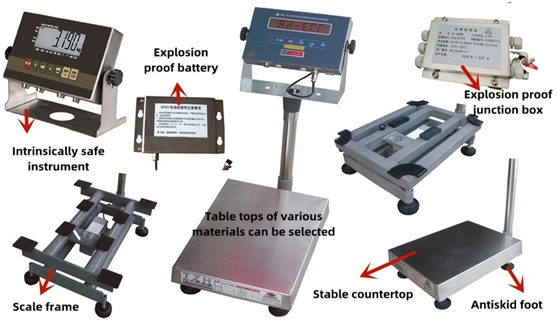 Explosion Proof Electronic Platform Scale 6 Explosion Proof Electronic Platform Scale2