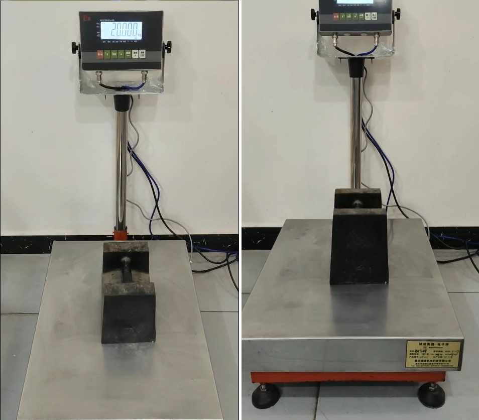 Explosion Proof Electronic Platform Scale 1 Explosion Proof Electronic Platform Scale3