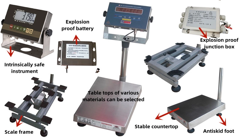 Explosion Proof Electronic Platform Scale 17 Explosion Proof Electronic Platform Scale8