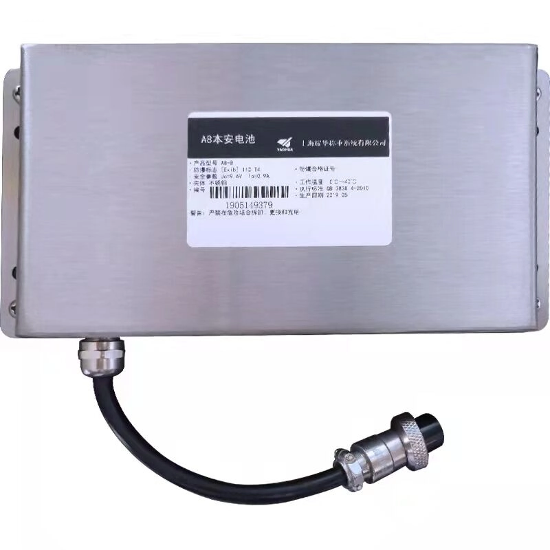 Explosion Proof Electronic Platform Scale 22 Explosion Proof Electronic Platform Scale9