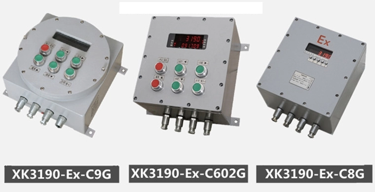 Explosion Proof Platform Scale 17 Explosion Proof Small Weighbridge11