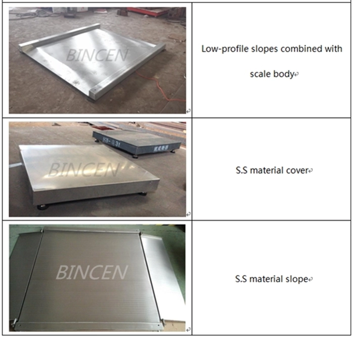 Stainless Steel Platform Scale 19 Introduction to common scales