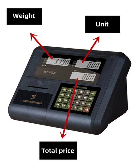 Electronic Weighing Platform Scale 21 XK3190-A23P