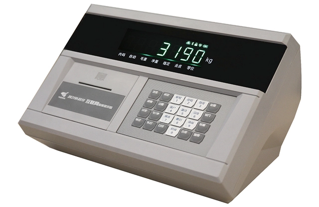 Weighing Indicator 7 ds10