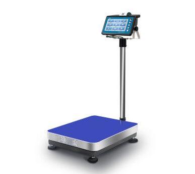 Weighing Scales: Axle Load Scales or Platform Scales? 9 Platform Scale