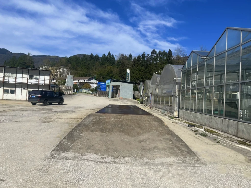 50 Ton Weighbridge 25 30 ton weighbridge 2