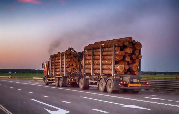 The Role of Lorry Weighbridges in Law Enforcement 139 Overloaded-Lorries