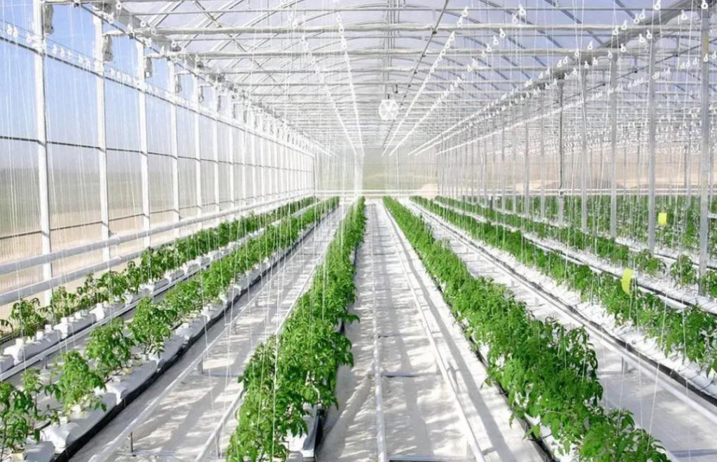 How to Improve the Efficiency of Agricultural Production? 6 agricultural management