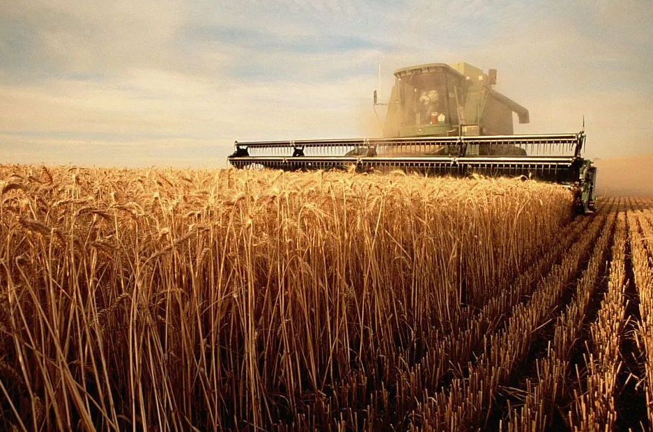 How to Improve the Efficiency of Agricultural Production? 8 enhance agricultural production