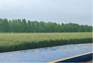 What is a Weighbridge? Everything You Need to Know 9 weighbridge in agriculture