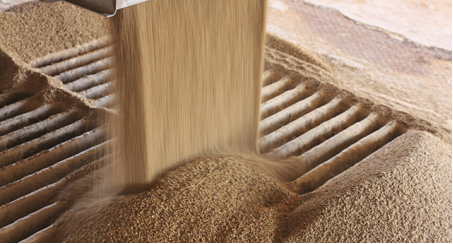 Grain Weighing: Why Does It Matter for You? 74 grain-weigh-equipment