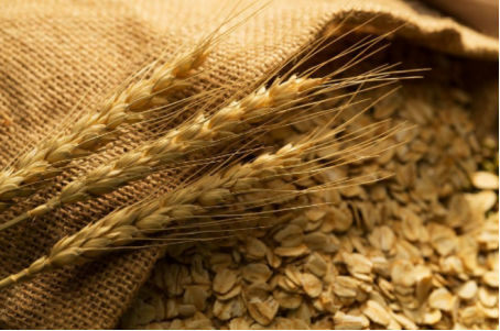 Grain Weighing: Why Does It Matter for You? 5 grain-weighing