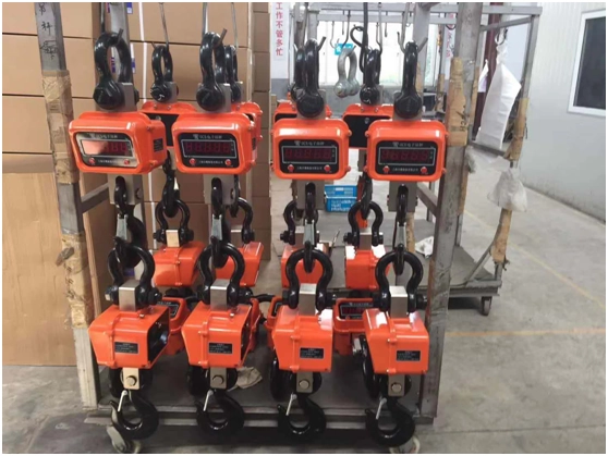 Why Modern Operations Can’t Ignore Crane Scales:5 Critical Benefits You Must Know 33 A crane scale, designed for precise weight measurement in industrial lifting and material handling operations.