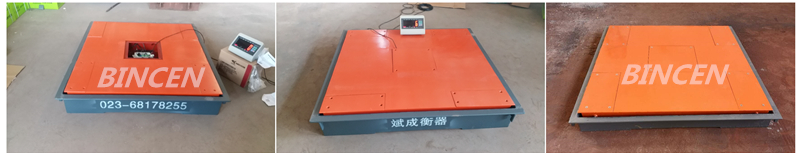 Purchasing Guide for High-Precision Electronic Platform Scales in South Africa 4 Purchasing Guide for High-Precision Electronic Platform Scales in South Africa