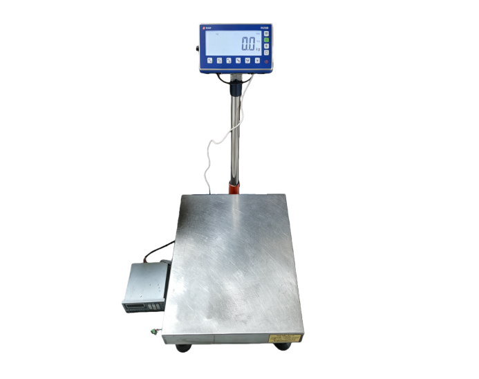 Industrial Platform Scale 1 Dust-proof and explosion-proof electronic platform scale
