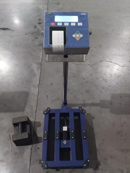 Industrial Platform Scale 13 Explosion-proof electronic platform scale with printing function