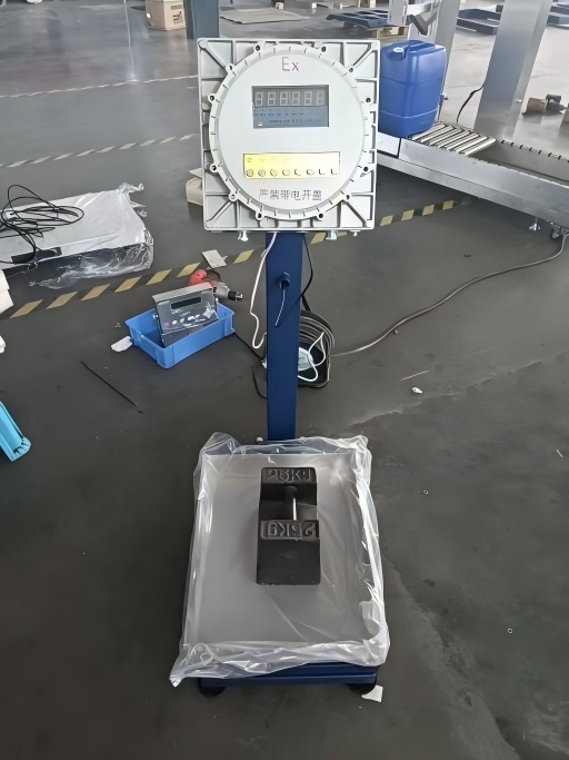 Industrial Platform Scale 14 Gas and dust dual explosion-proof electronic platform scale