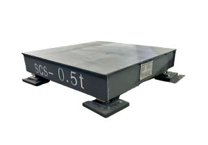 Electronic Platform Scale